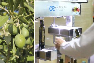 La trazabilidad en el aceite de oliva virgen extra