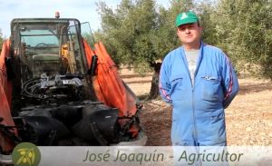 recoleccion de aceituna con máquina vibradora